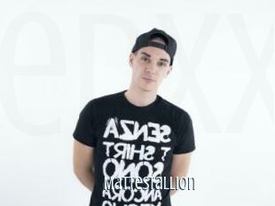 Mattestallion
