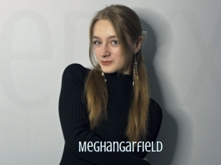 Meghangarfield