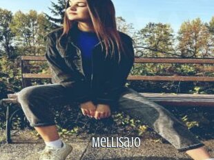 Mellisajo