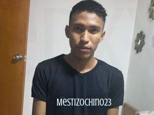 Mestizochino23