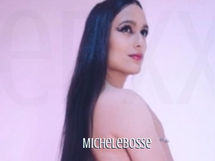 Michelebosse