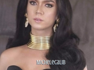 Michelecalib