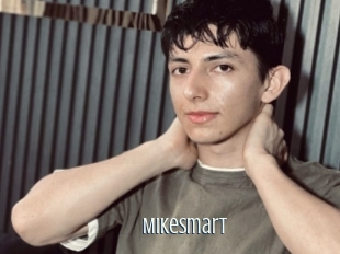 Mikesmart