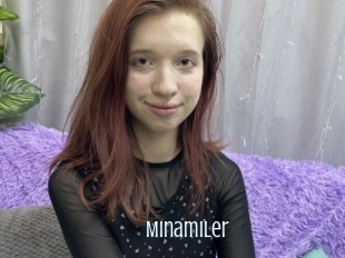 Minamiler