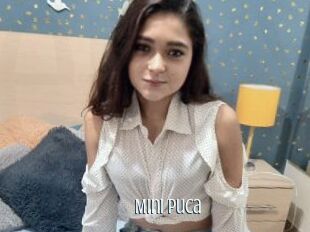 Mini_puca