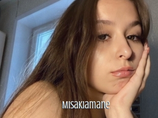 Misakiamane