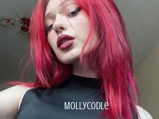 Mollycodle