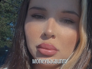 Moneybagbunny