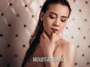 Mountaiinecho