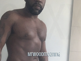 Mrwoodmoaning