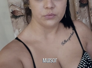 Muisor
