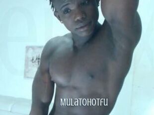 Mulatohotfu
