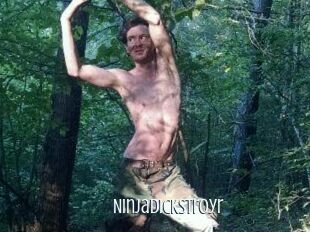 NinjaDickstroyr