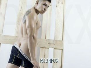NoahFox
