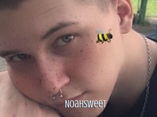 NoahSweet