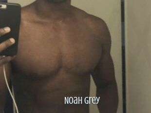 Noah_Grey