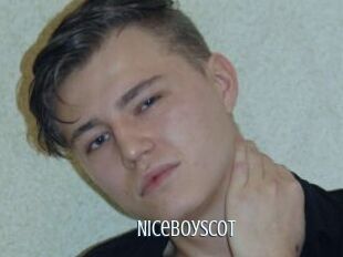 Niceboyscot