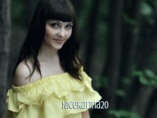 Nicekarina20