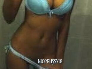 Nicepussy18