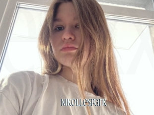 Nikollespark