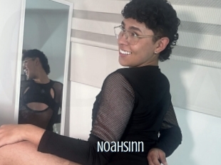 Noahsinn