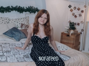 norareed Edonkey xxx