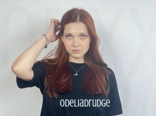 Odeliadrudge