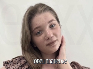 Odelindahedge