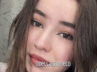 Odellagarfield