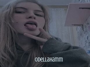 Odellahamm