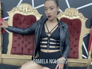 PAMELA_NOLIMITS