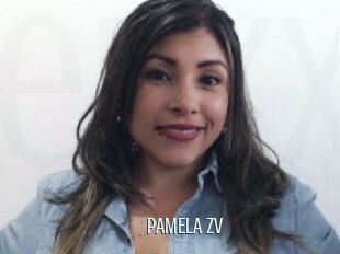 PAMELA_zv