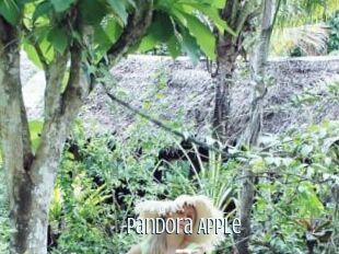 Pandora_Apple