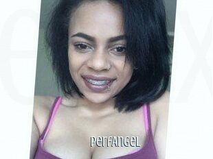 PerfAngel