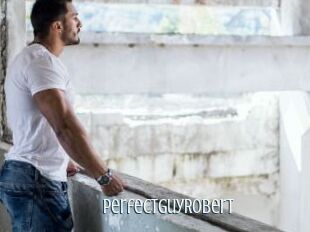 PerfectguyRobert