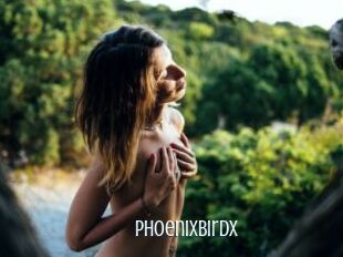 PhoenixBirdX