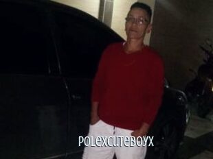 Polexcuteboyx