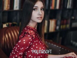 PolinaSoft