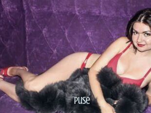 Puse