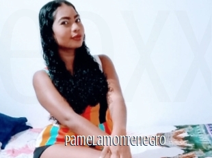 Pamelamontenegro