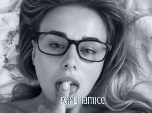 Paulinamice
