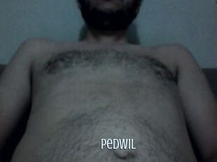 Pedwil