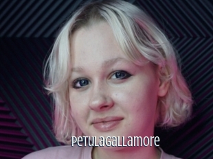 Petulagallamore
