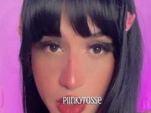 Piinkyrosse