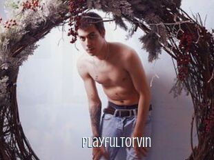 Playfultorvin