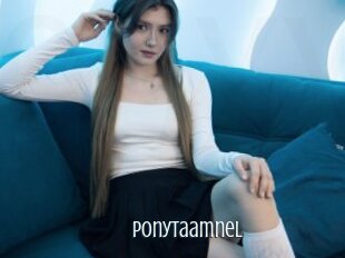 Ponytaamnel