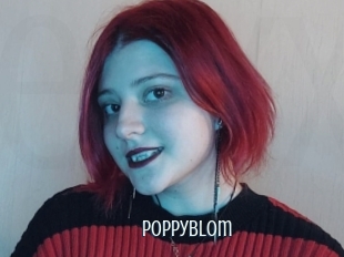 Poppyblom