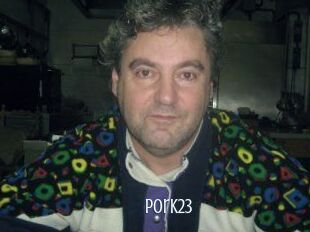 Pork23