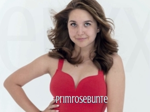 Primrosebunte