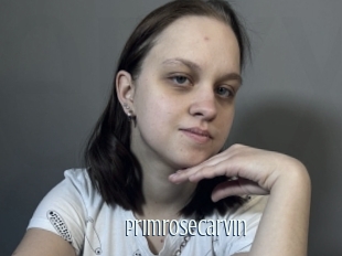 Primrosecarvin